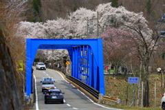 荘川桜遠景