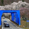 荘川桜遠景