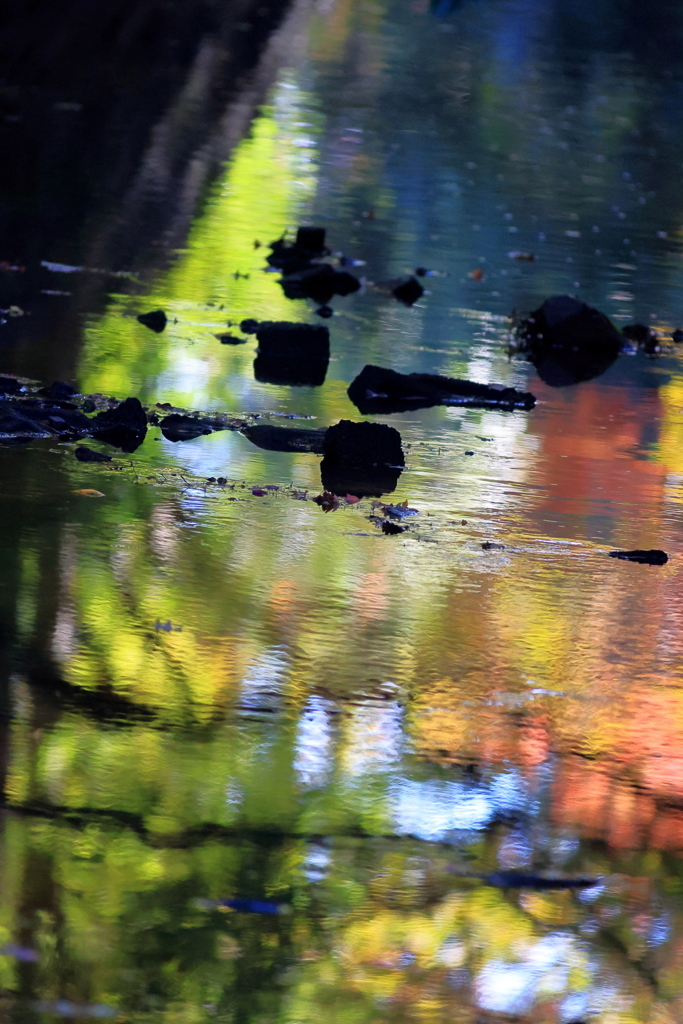 リフレクション