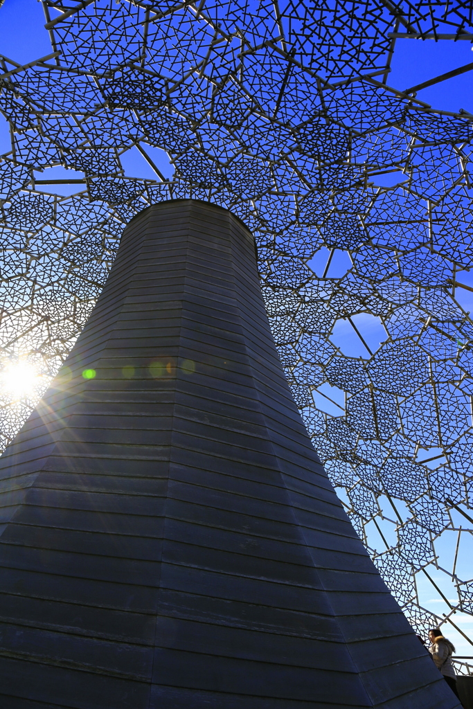 六甲枝垂れ　（2012年）