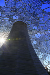 六甲枝垂れ　（2012年）