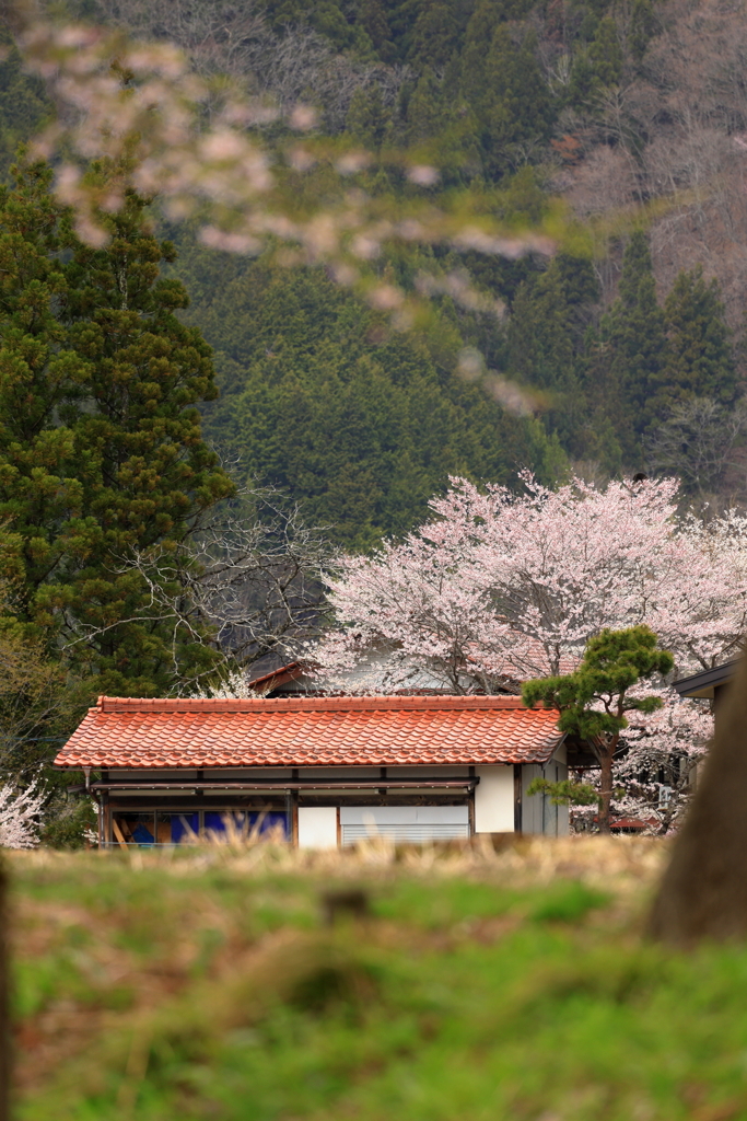 風景