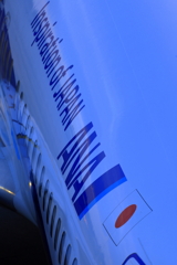 伊丹空港展望デッキ