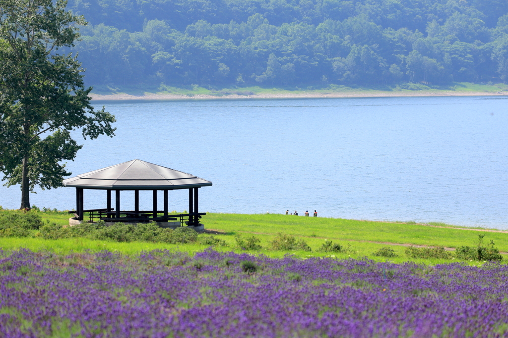 南ふらの　かなやま湖