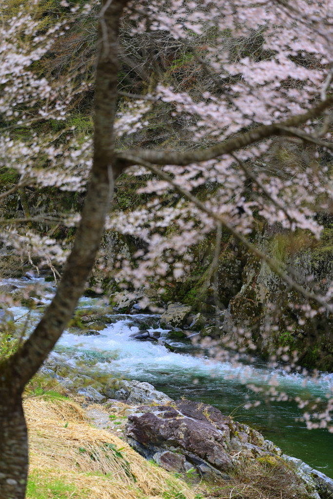 渓流