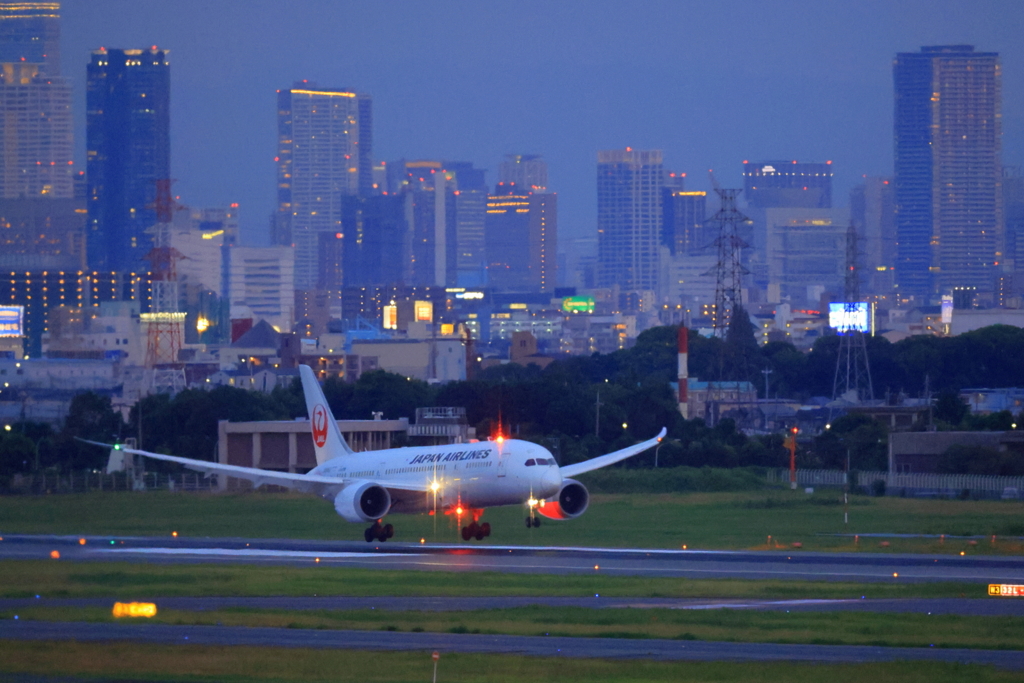 JAL　着陸