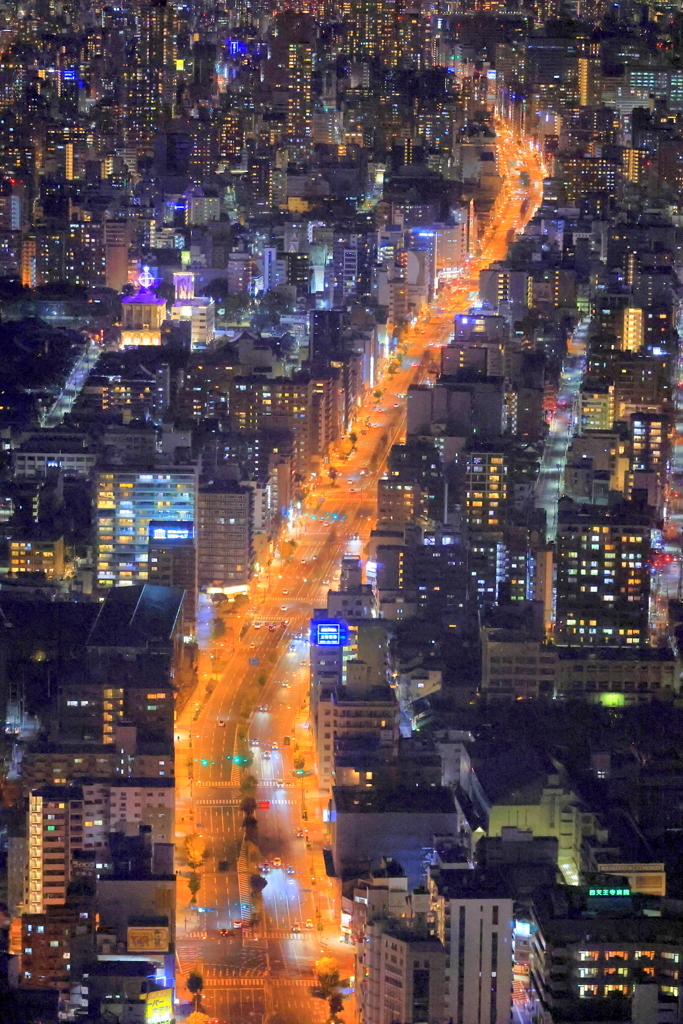 大阪の夜景