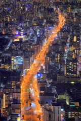 大阪の夜景