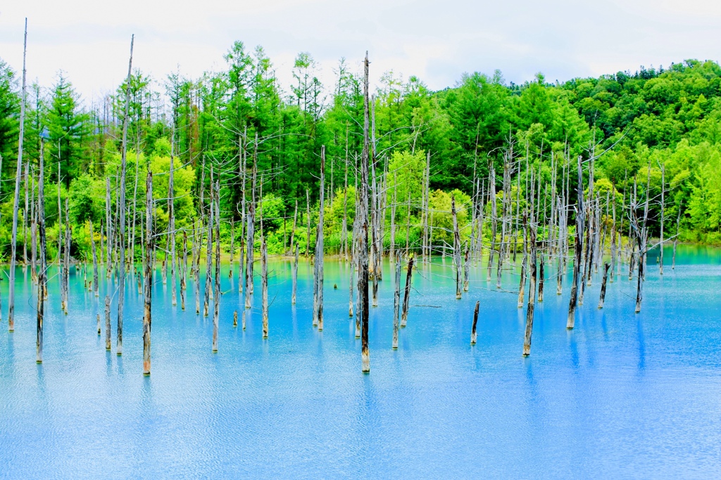 青い池