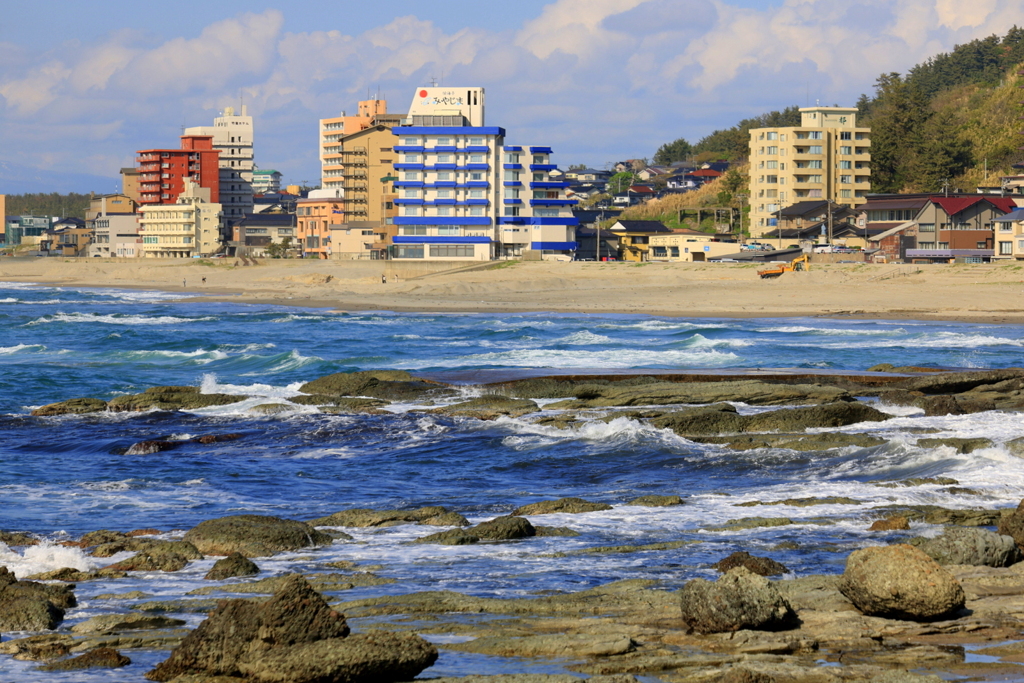 鶴岡市立加茂水族館より