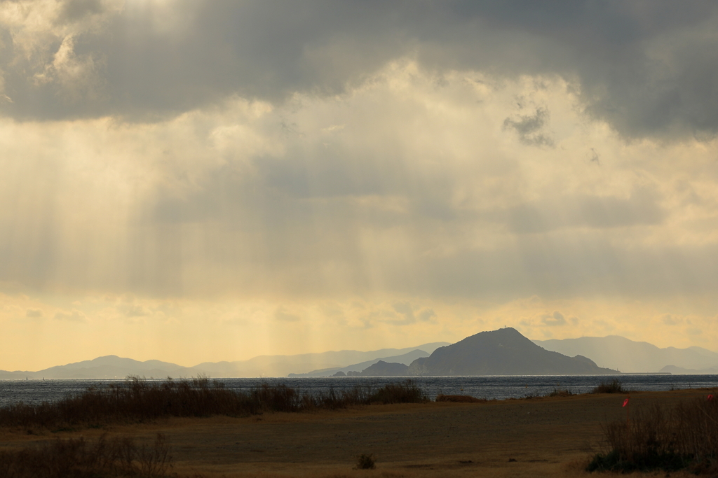 伊良湖菜の花ガーデン