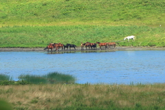 北太平洋シーサイドライン