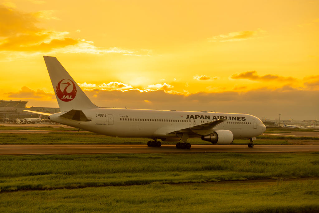 夕刻のJAL　離陸