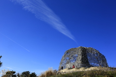 六甲六甲枝垂れ（2012年）