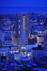 五稜郭夜景　その２