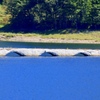 タウシュベツ橋