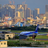 伊丹空港展望デッキ から　梅田方面　タキシング中のANAと