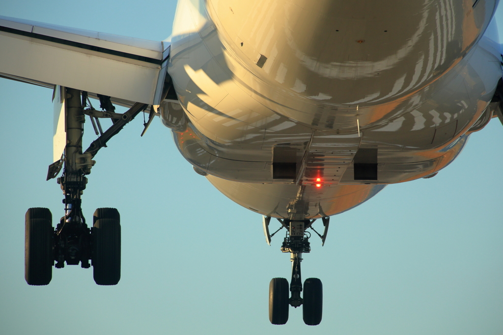 伊丹空港千里川側