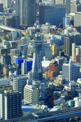 通天閣を望んで