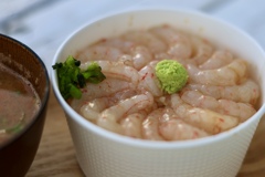 羽幌　甘エビ丼