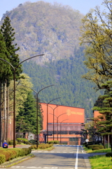 宮城狭とゴリラ岩