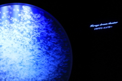 鶴岡市立加茂水族館