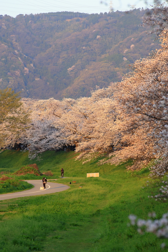 大山崎を望んで