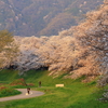 大山崎を望んで