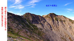 仙丈ケ岳登頂の山旅2001：2日目(27)