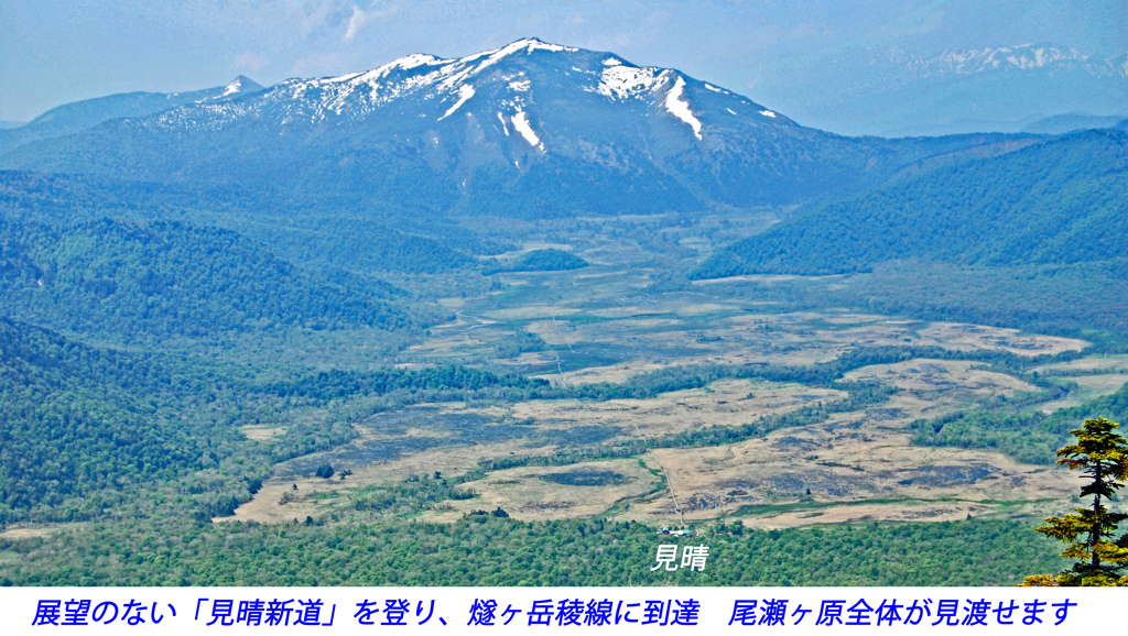 初夏の尾瀬の山旅2007(36)