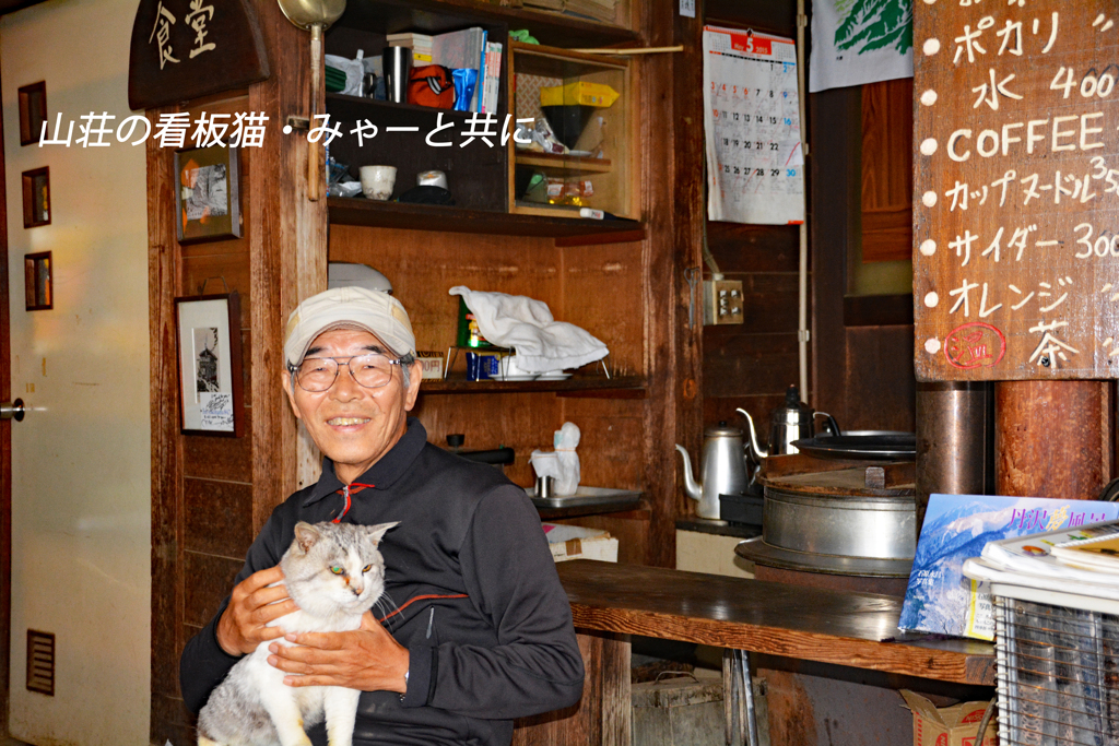 丹沢・塔ノ岳登頂セレクト写真集 2008～2018 (33)