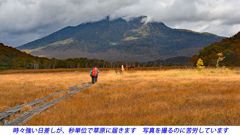 尾瀬草紅葉2015(12)