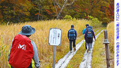 尾瀬草紅葉2015(48)