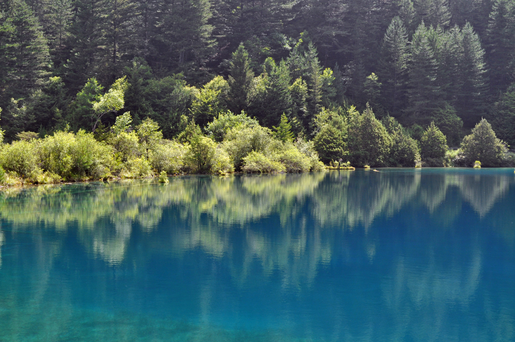 鏡海に倒映された幽玄の世界