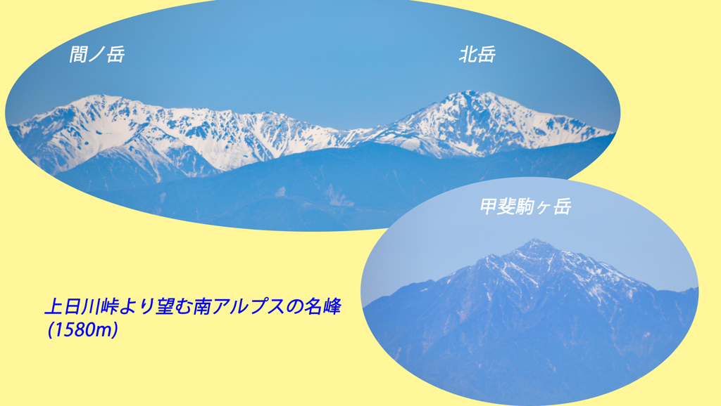 新緑の大菩薩を歩く2018(29)