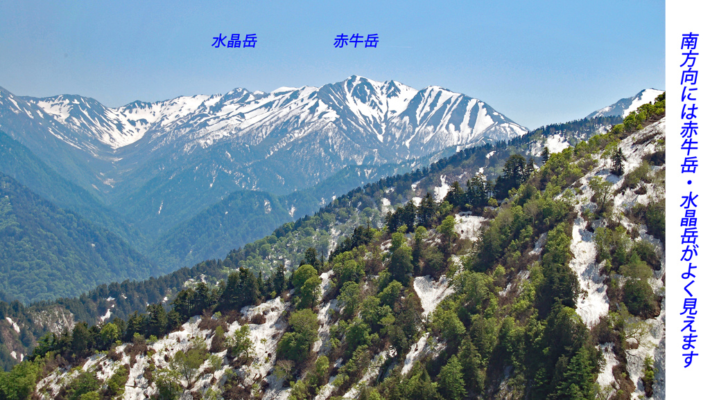 残雪の立山・黒部アルペンルート2006(8)