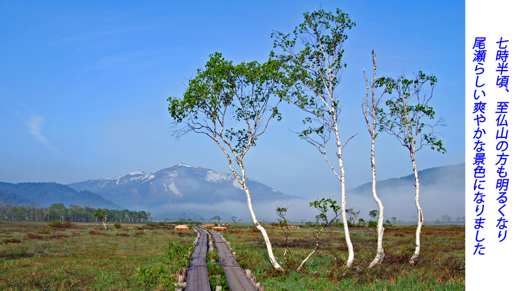 初夏の尾瀬の山旅2007(30)