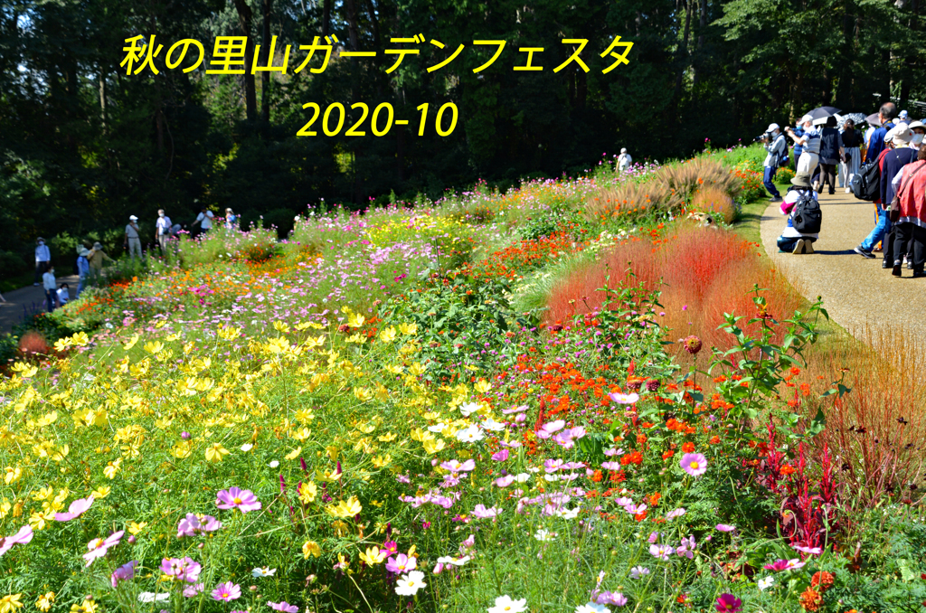 秋の里山ガーデンフェスタ in 横浜 2020 (1)