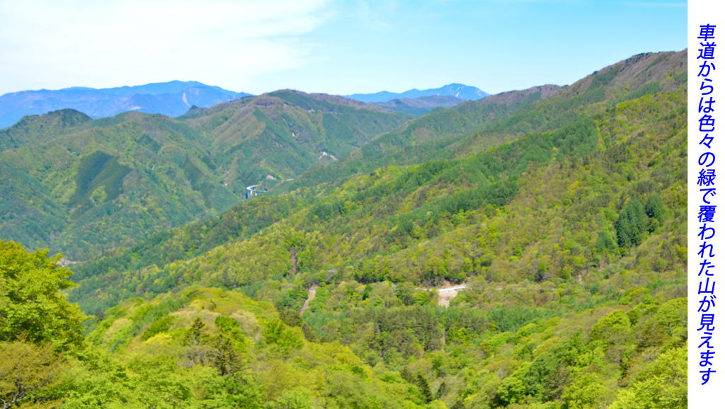 新緑の大菩薩を歩く2018(22)