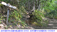 安達太良山紅葉狩り2014(11)