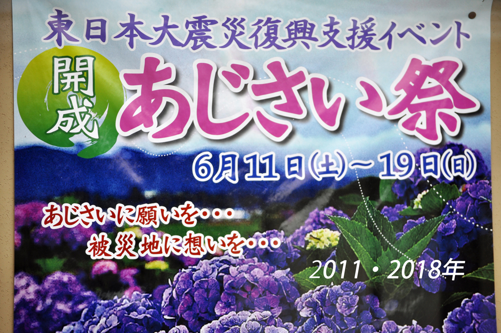 開成アジサイの里を訪ねて2011 & 2018(1)