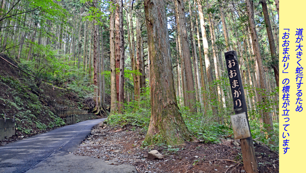 リハビリ山行：御岳山2014(12)