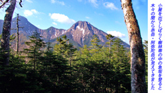 八ヶ岳・赤岳登頂の山旅2002：2日目(10)