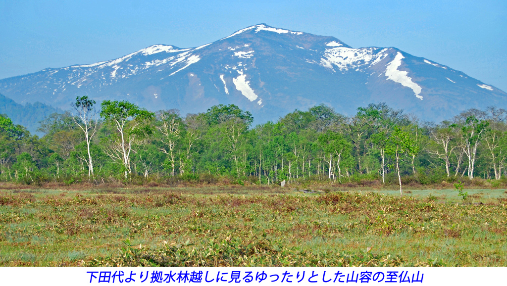 初夏の尾瀬の山旅2007(34)