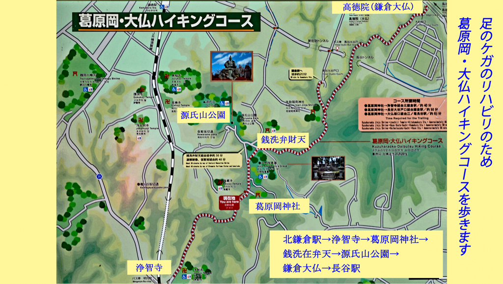 リハビリハイク：鎌倉葛原岡・大仏ハイキングコース2014(40)