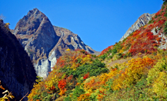 色鮮やかな雨飾山の紅葉 色鮮やかな雨飾山の紅葉