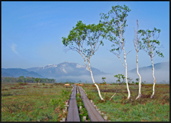 爽やかな尾瀬ヶ原の朝の風景 爽やかな尾瀬ヶ原の朝の風景