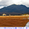 尾瀬草紅葉2015(25)