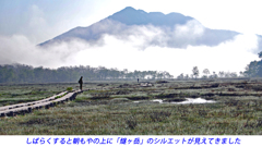 初夏の尾瀬の山旅2007(7)