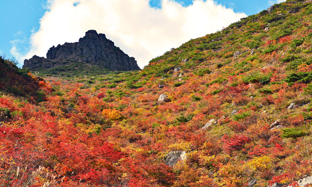 安達太良山の秋(4)